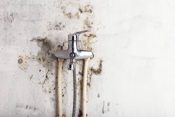 Best Water Damage Restoration  in Lindale, GA