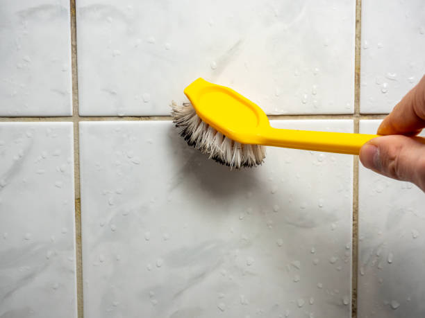 Best Residential Mold Removal  in Lindale, GA